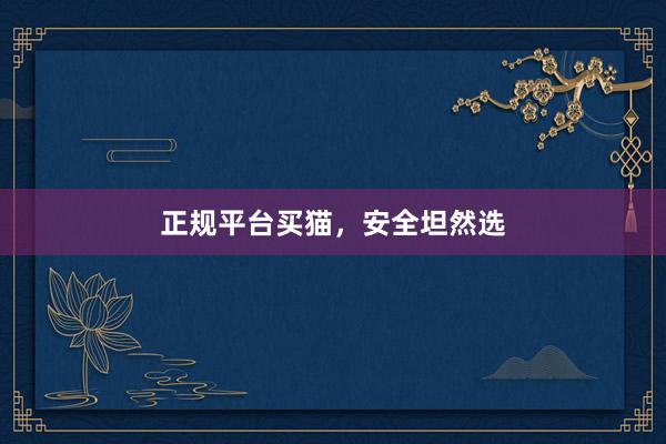 正规平台买猫，安全坦然选