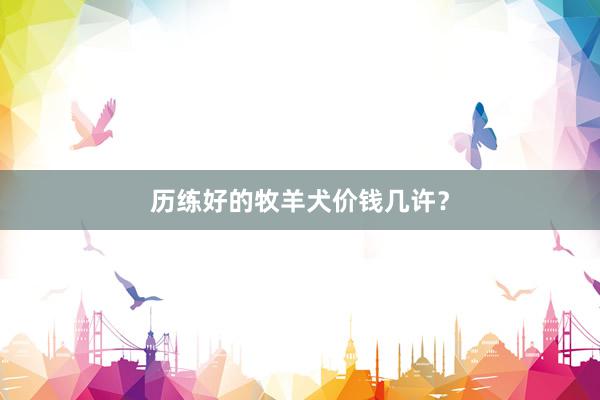 历练好的牧羊犬价钱几许？